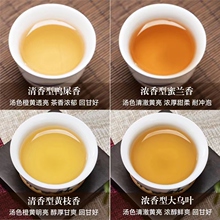 鸭屎香凤凰单枞茶潮州特产蜜兰香春茶单丛茶乌岽单从乌龙茶叶送礼