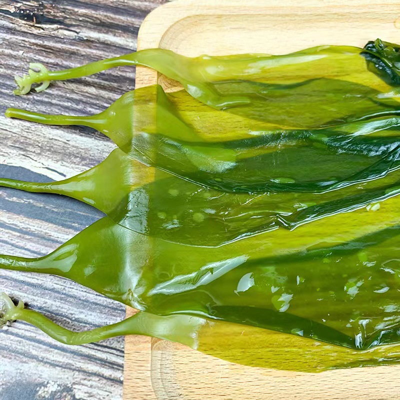 霞浦特产海带嫩苗 500克/袋 新鲜嫩芽火锅食材凉拌海带整箱批发