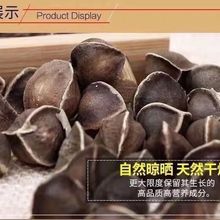 辣木籽无硫散装辣木籽中药材批发500克规格齐全量大从优