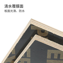 工程建筑模板桉木清水覆膜板一次成型胶合板建筑楼房桥梁工地模板