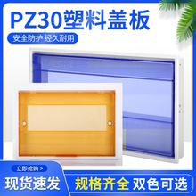 电表箱外壳盖子子家用PZ30暗装配电箱塑料盖板明装室内回路遮档板
