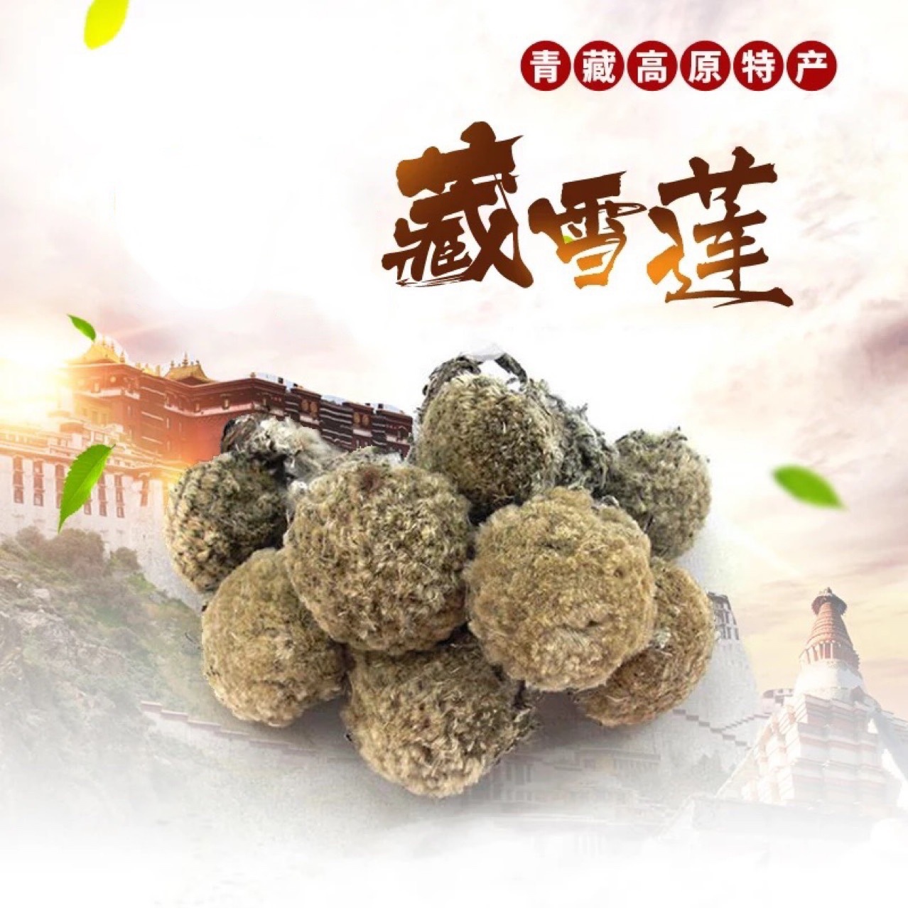 西藏天然雪莲花 干花1斤藏雪莲泡茶泡酒中药材滋补品特产现货批发