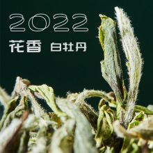 白牡丹春茶高山日晒白茶毫香显有花香散装30g/罐茶叶政和白茶批发