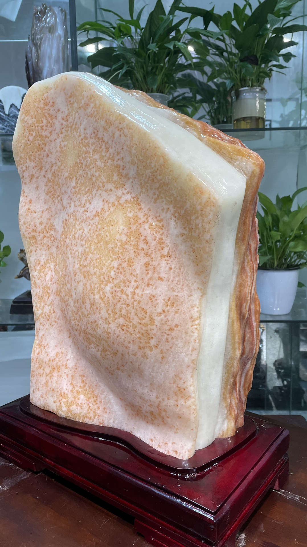 猪肉石五花肉原石摆件造型石奇石腊肉石招财风水石招财肉石29572