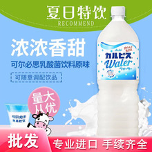 日本进口饮料整箱批发CALPIS可尔必思乳酸菌风味饮料原味大瓶1.5L
