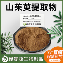 1水溶性 山茱萸提取物10:1规格 山萸肉比例萃取 喷雾干燥 浓缩粉