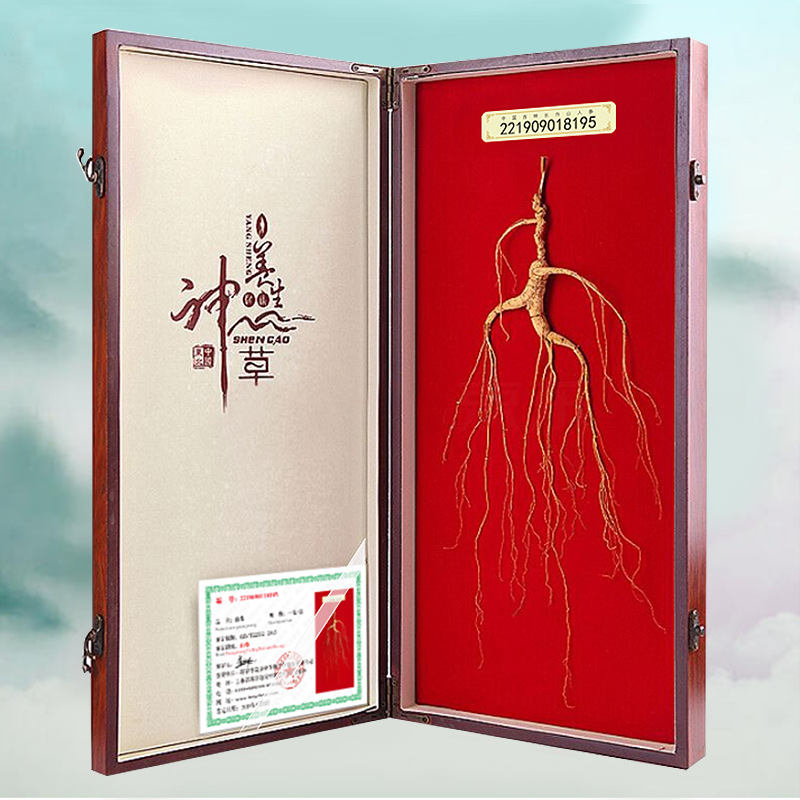 东北特产长白山人参24年新品野山参人参礼盒送礼佳品一件代发