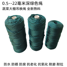 0.5--3毫米尼龙绳胶丝塑料绳植物大棚爬藤绳园艺吊拉绳聚乙烯绳子