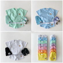 韩版ins婴幼童宝宝糖果色清爽短袖套装卫衣短裤两件套坑条夏款