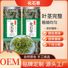 厂家批发化石草 肾精茶结石草产地罐装30g猫须草 腰只草支持代发