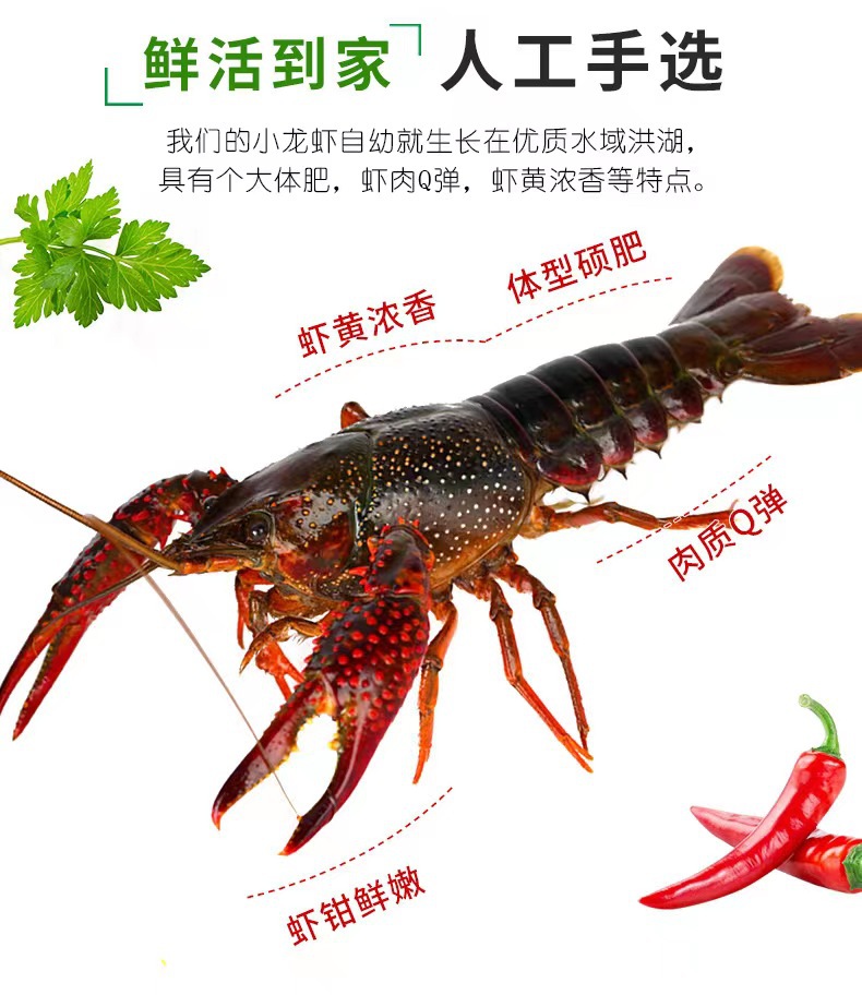 包邮或首单立减包装规格立即订购加入进货单支付方式小龙虾一日一价