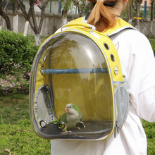 全景外带中小型背包用品宠物鹦鹉外出玄凤牡丹笼旅行包透明便携鸟