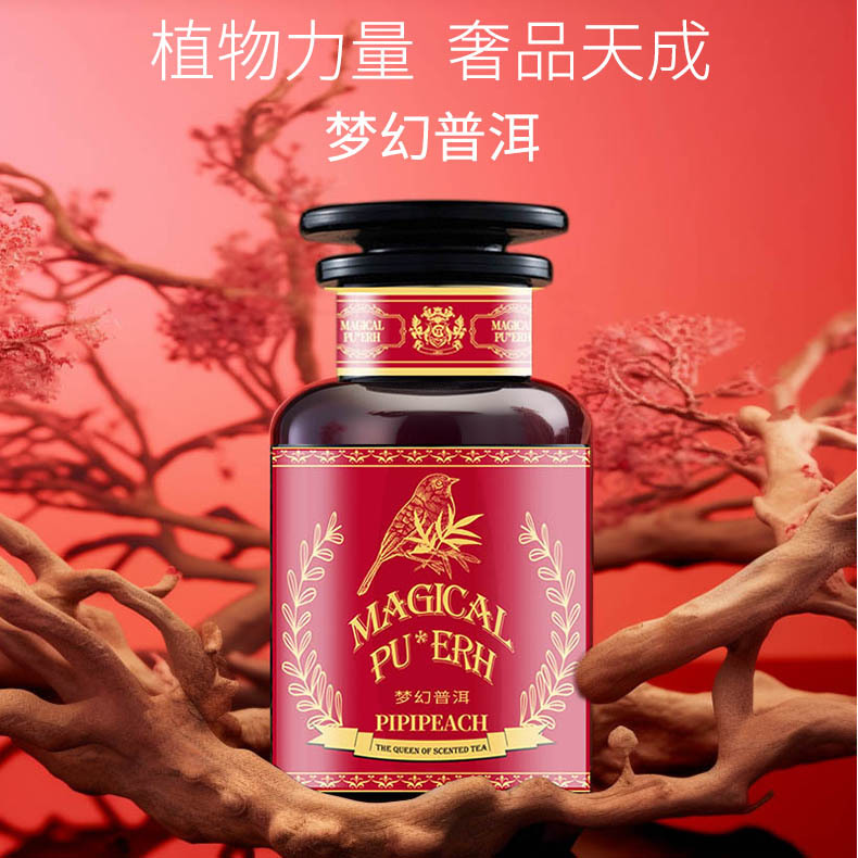 Pipipeach梦幻陈皮普洱养生茶礼盒伴手礼夏冷泡茶送独立包装网红