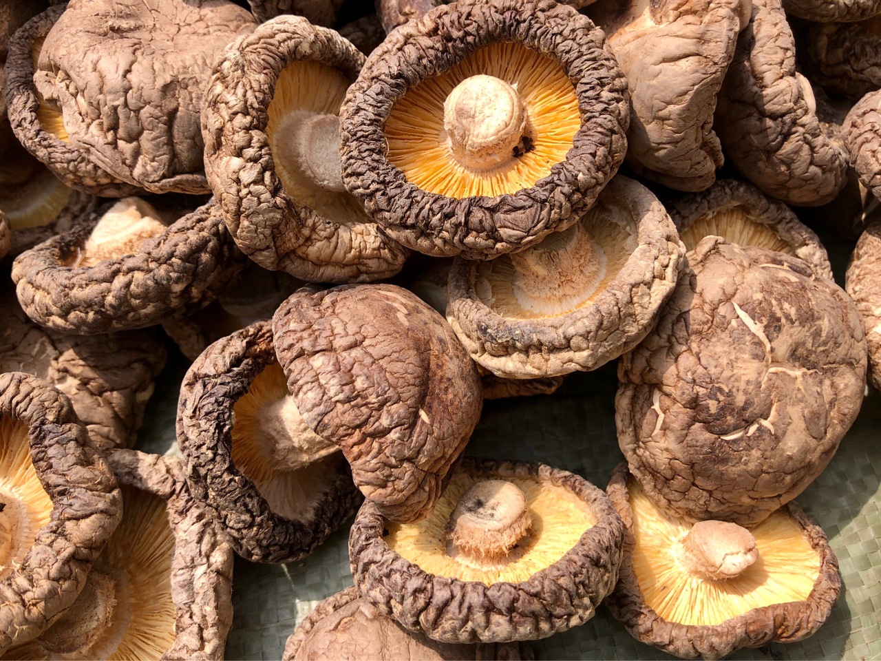 大香菇干货蘑菇河南香菇食用菌肉厚冬菇农产品500g批发常年供应