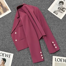 2024春秋新款树莓紫西装外套女设计感气质时尚百搭小个子西服潮