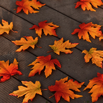 枫叶婚庆秋季黄色植假树叶背景绿叶子枫树仿真树叶布置背景墙红装