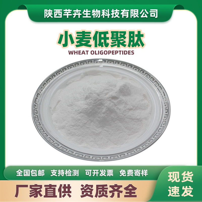 小麦低聚肽99% 谷朊粉提取物 小麦肽 小麦提取物 小麦小分子蛋白