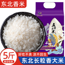 东北大米5斤2023年新米黑龙江五常香米长粒香大米10斤真空包装