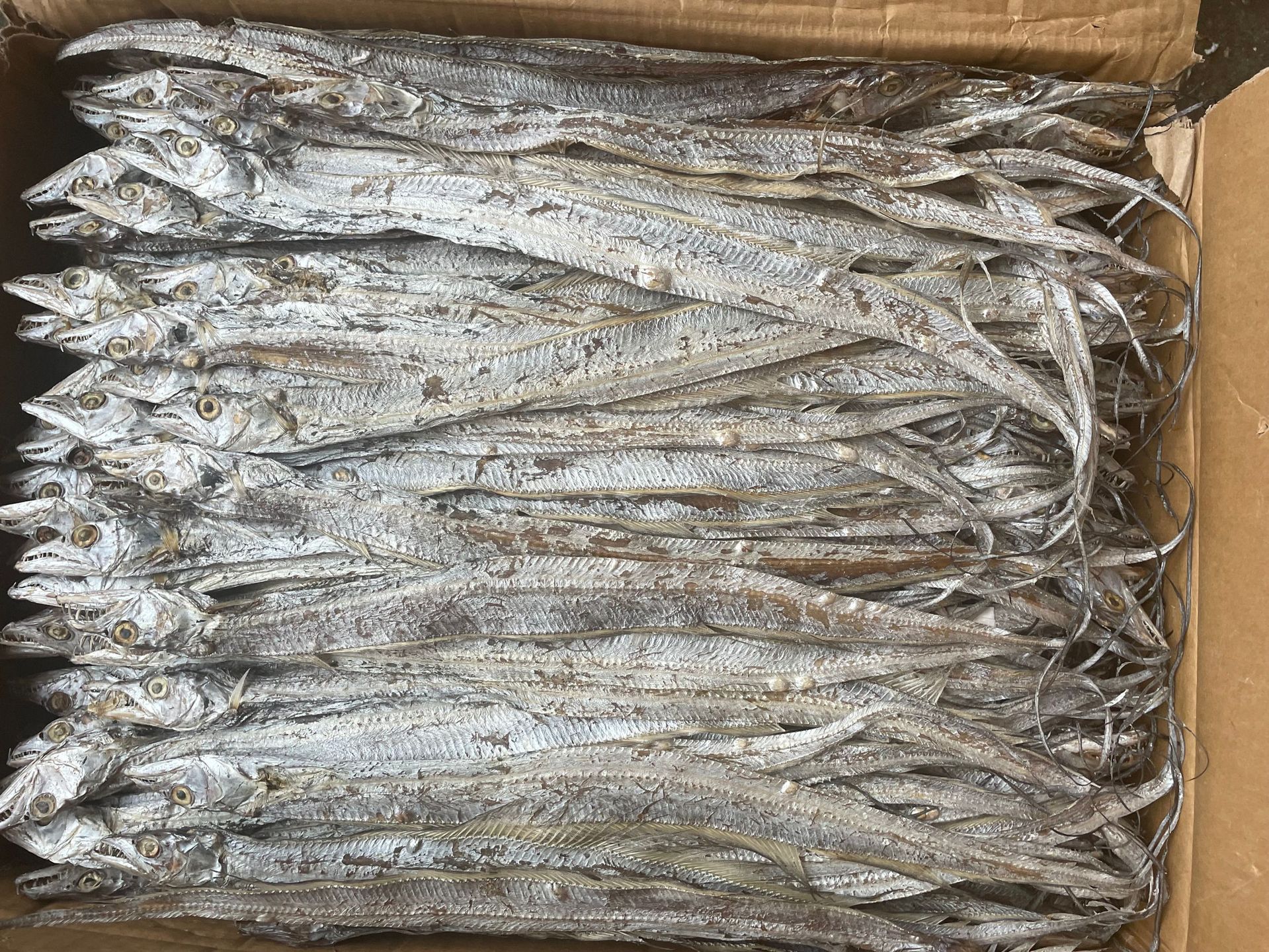 全淡带鱼干(一件60斤)