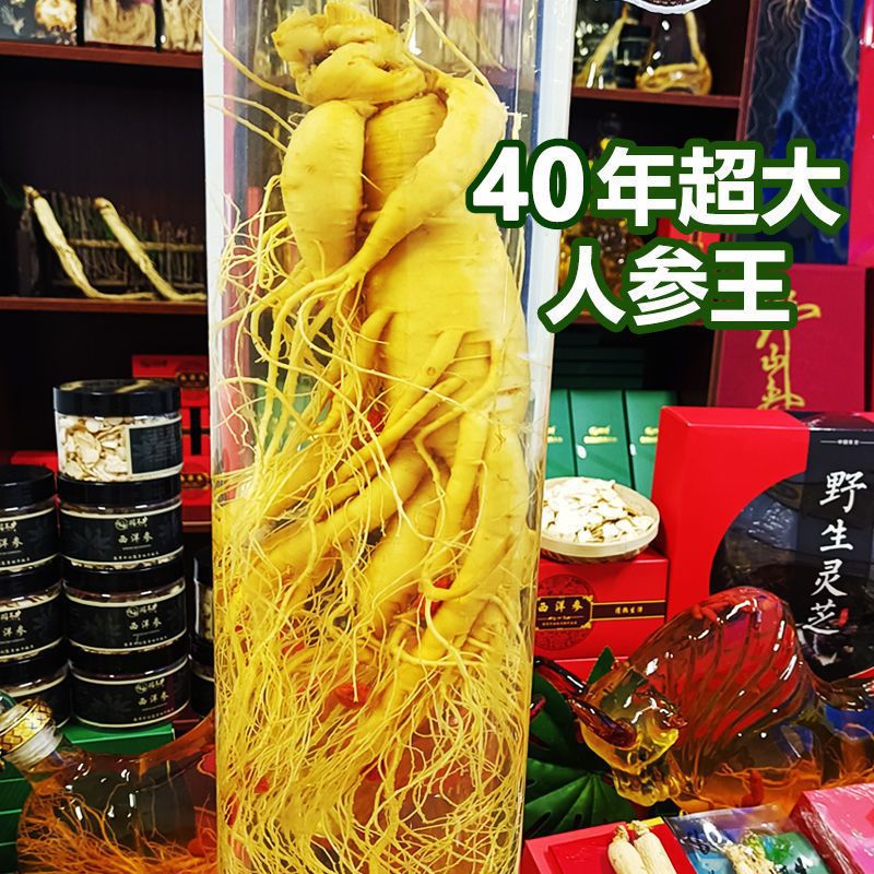 长白山40年老人参 野生人参泡酒煲汤滋补 东北土特产赠送小礼品包