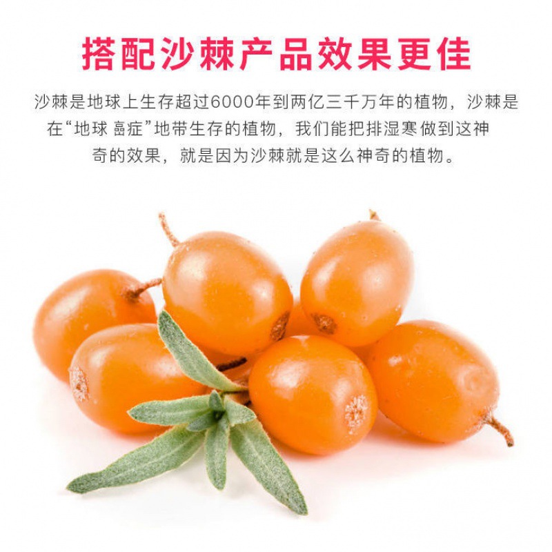 排酸毯沙棘汗蒸袋排酸毯家用全身发汗排湿院家用太空