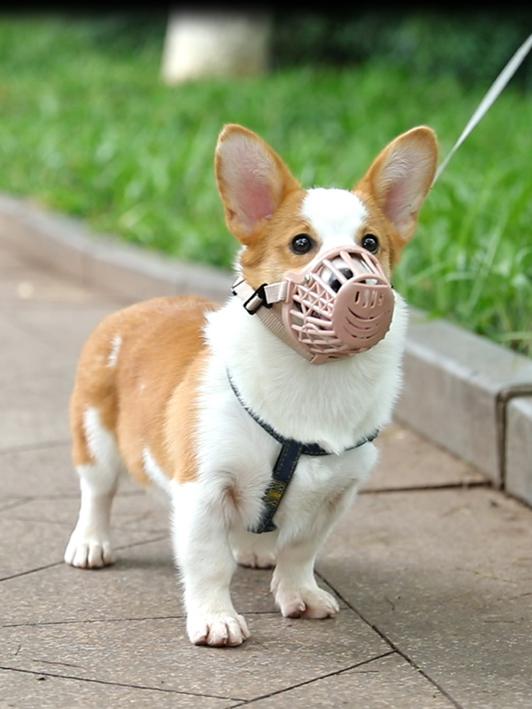 狗狗嘴套口罩小型大型犬防咬叫乱吃宠物狗嘴笼嘴罩止吠器泰迪用品