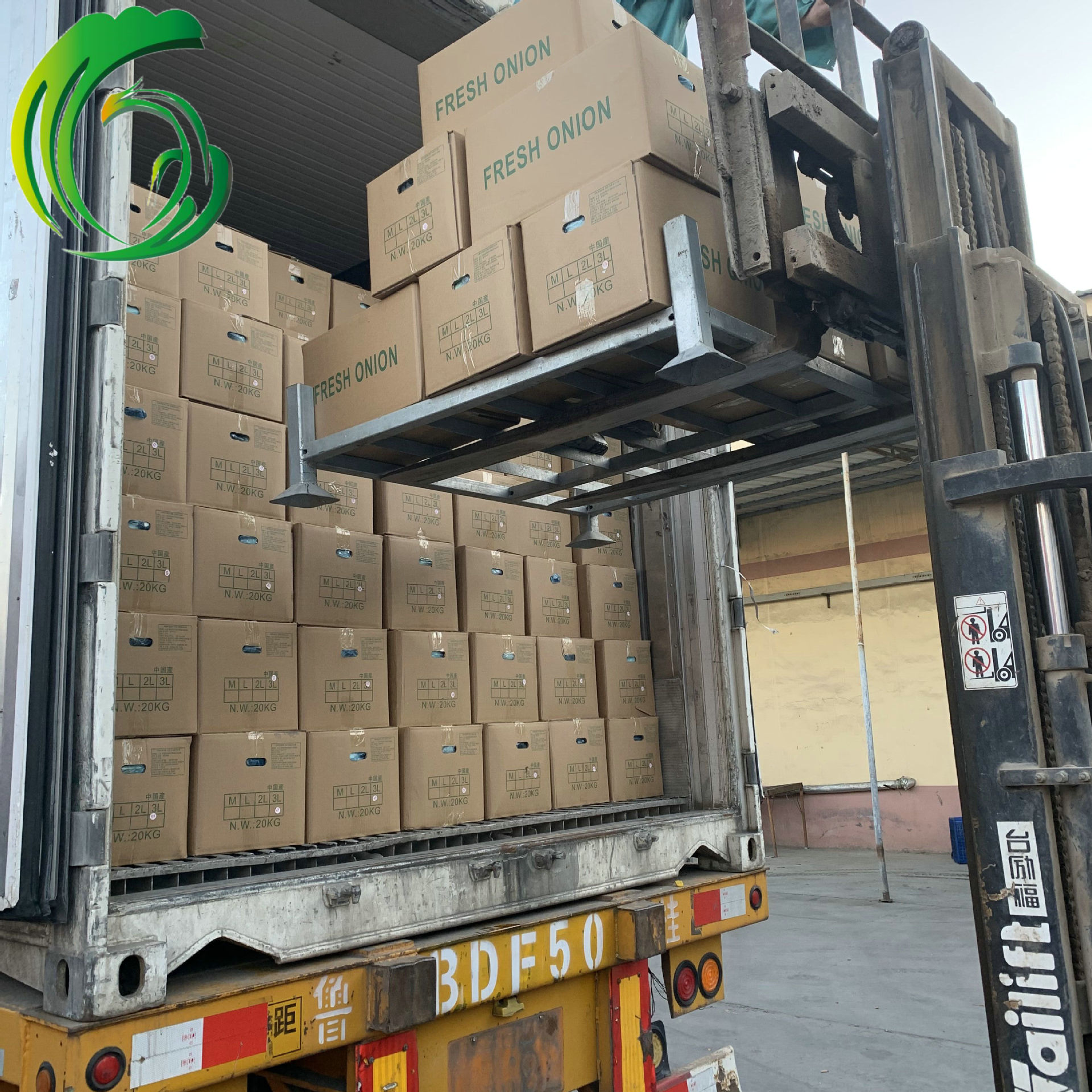 剥皮洋葱 工厂直供 云南产地 备案种植基地产 出口韩国 brc sedex