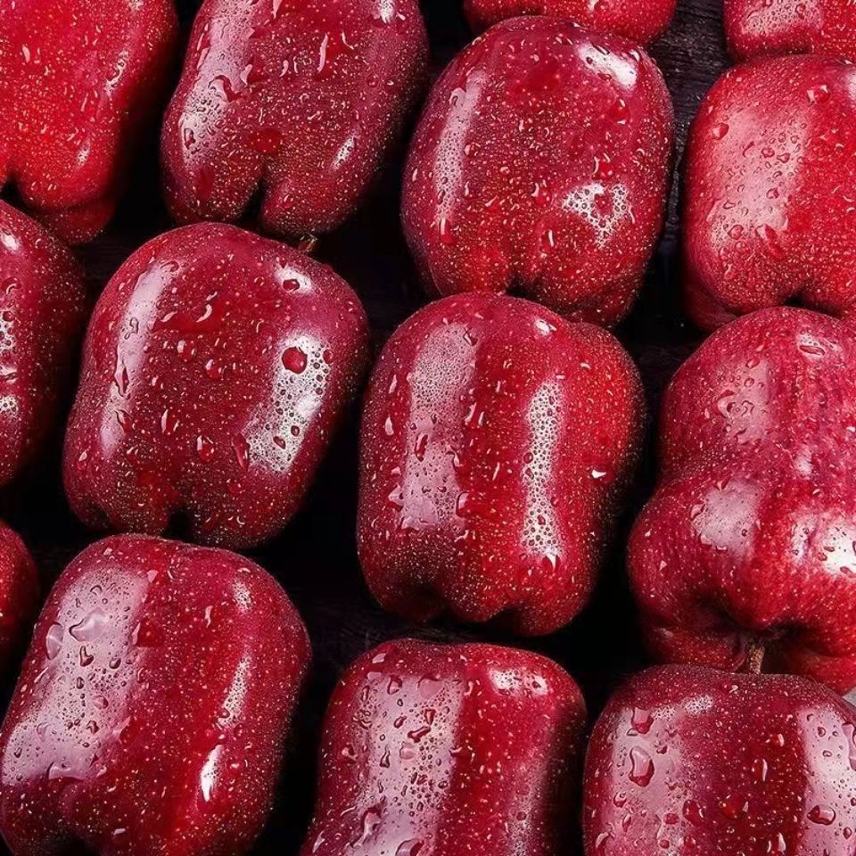 天水花牛苹果10/5/3斤新鲜应季甘肃蛇果平安果宝宝刮泥苹果水果