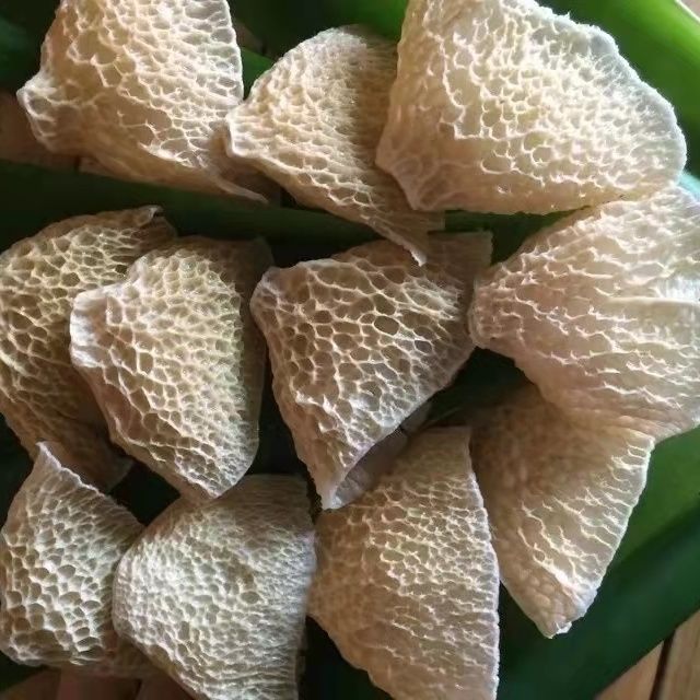 竹毛肚250克煲汤炒食材干货四川特产竹海半成品无硫熏晒干