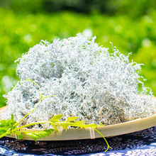 张家界莓茶 藤茶 芽尖茶叶现货批发 莓茶250g