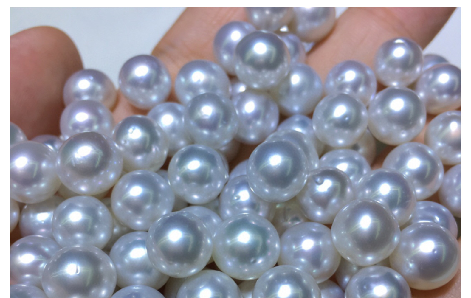 澳洲白珍珠 澳白南洋白珠 海水珍珠 近圆大澳白微微瑕