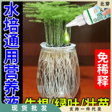 营养液植物通用型花肥发财树富贵竹绿萝水培盆栽家用花卉液体肥料