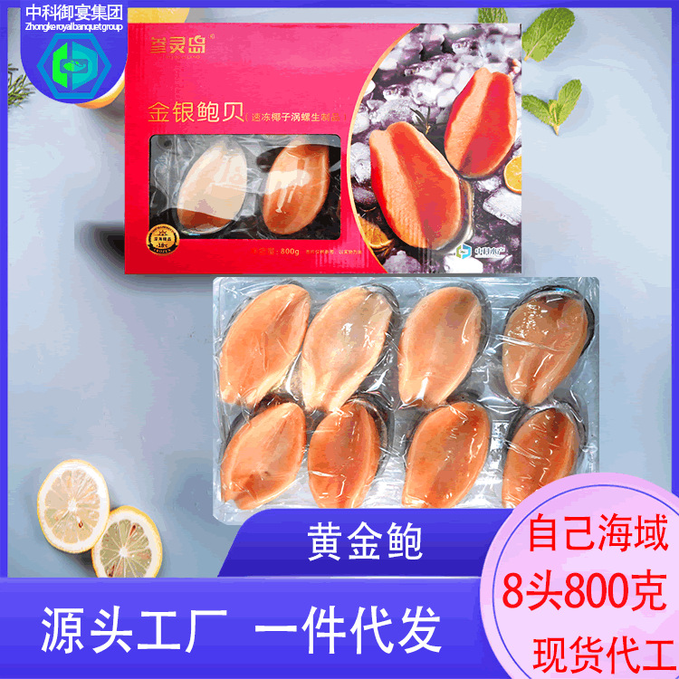 参灵岛黄金鲍金银鲍贝即食澳鲍工厂批发鲍螺鲍鱼响螺海鲜中科水产