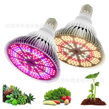 亚马逊Ebay速卖通Wish跨境LED植物灯150LED 100W LED植物生长灯