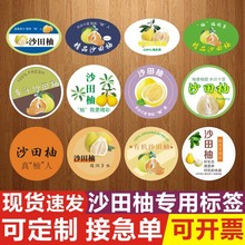 新鲜沙田柚标签贴纸四川香甜多汁广西容县柚子商标不干胶-Q