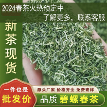 春茶绿茶2024明前茶绿茶碧螺春2024新茶一级散装茶叶自己喝批发