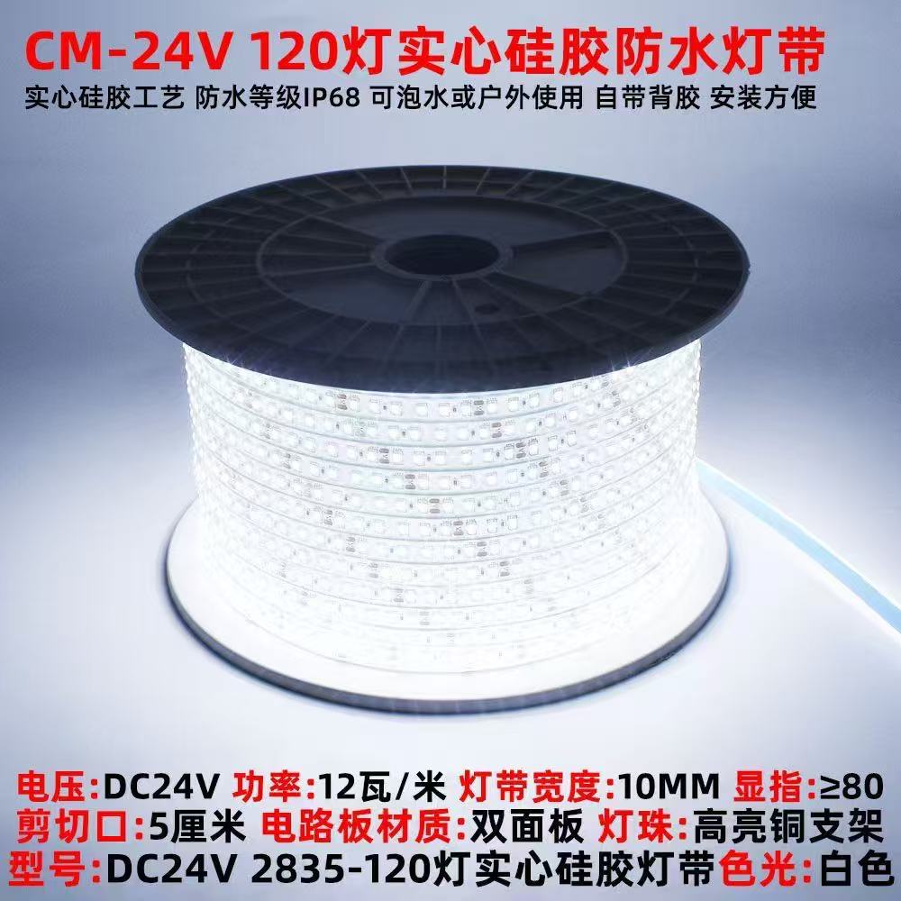 12v 24V实心硅胶泡水灯带LED防水喷泉游泳池鱼池户外园林亮化