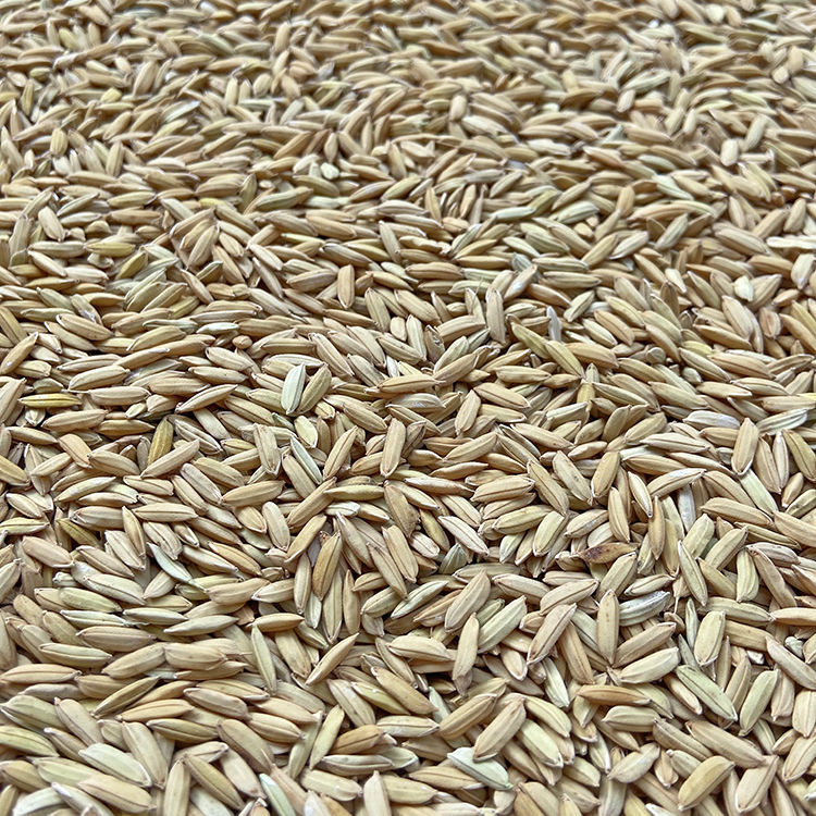 农家带壳稻谷带壳谷子水稻稻子粮食喂鸡鸭鹅鸽鸟仓鼠原粮宠物饲料