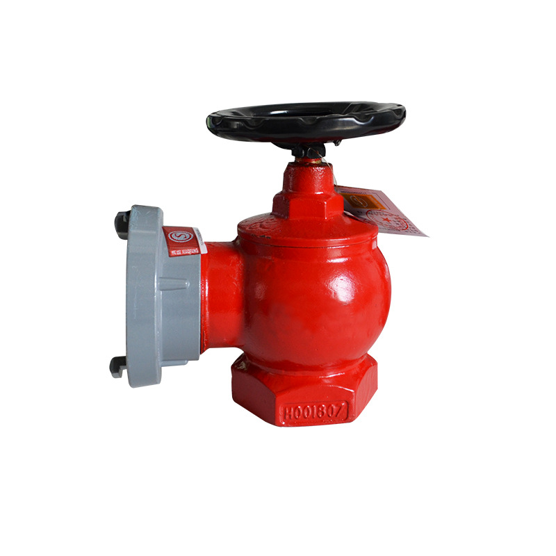 室内消火栓sn65国标消防栓栓头消防箱水带65红色消防管件