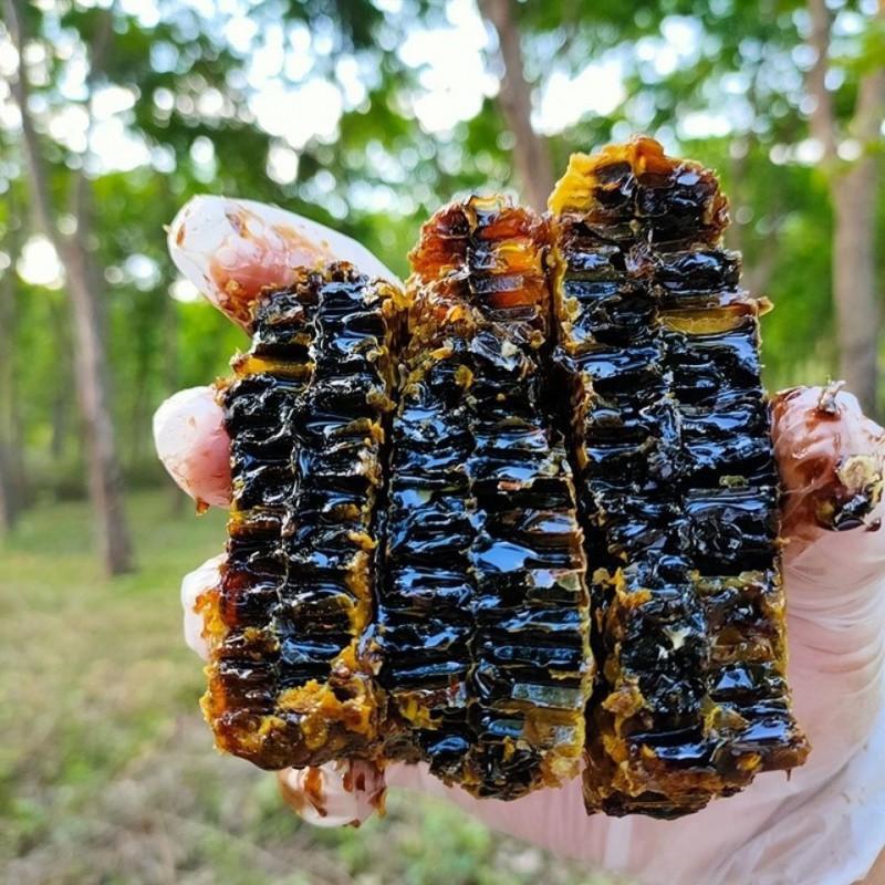 云南野生黑蜂蜜土蜂蜜缅甸黑晶蜜西双版纳米团花黑蜜500克