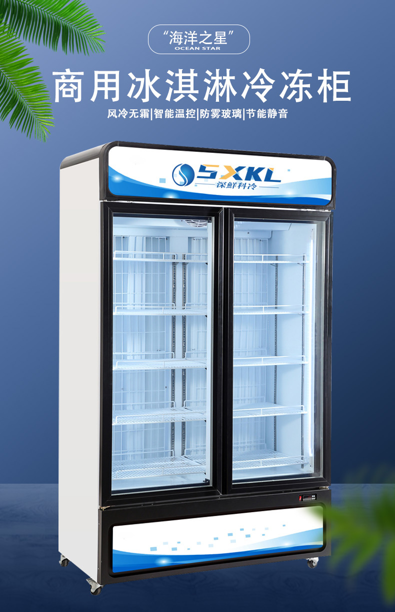 厂家批发商用低温冷冻展示柜立式大容量双门雪糕水饺冰箱急冷冻柜