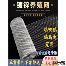 镀锌铁丝网鸟笼网片兔笼宠物笼鸽舍鸡圈笼养殖网围栏隔离家用防护