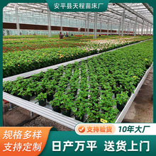 花卉暖棚潮汐苗床塑料连栋大棚温室植物苗床配件灌溉栽培育苗床