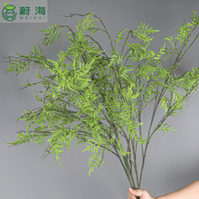 仿真海金沙蕨草新中式线条花材植物墙天门冬假草塑胶花仿真花婚庆