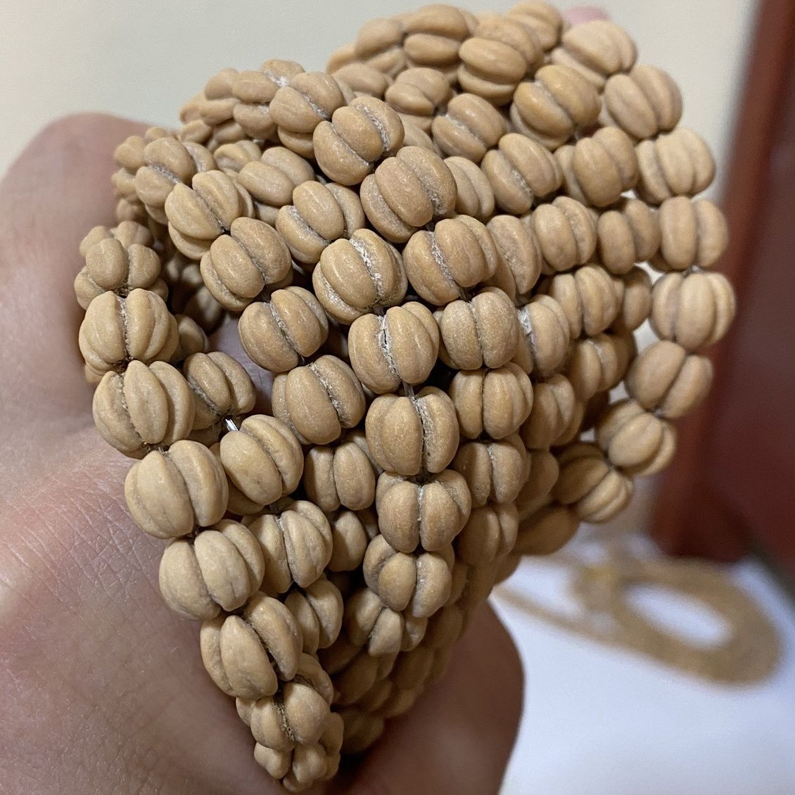 山楂籽文玩野生 精品108颗 12颗备籽 五福籽 连体山楂核大果正圆