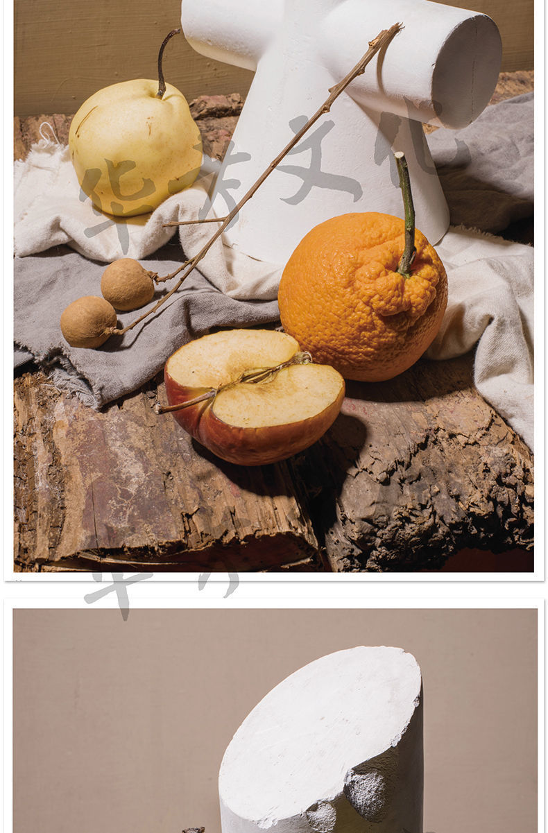 中考结构素描静物零基础单体组合临摹书画册照片对应入门初学者