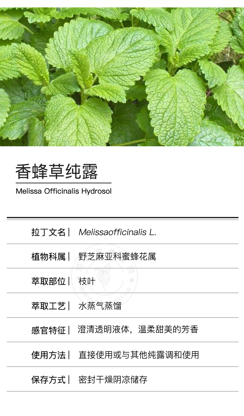 香蜂草纯露1kg产地直供头道低温蒸馏饱和含精油