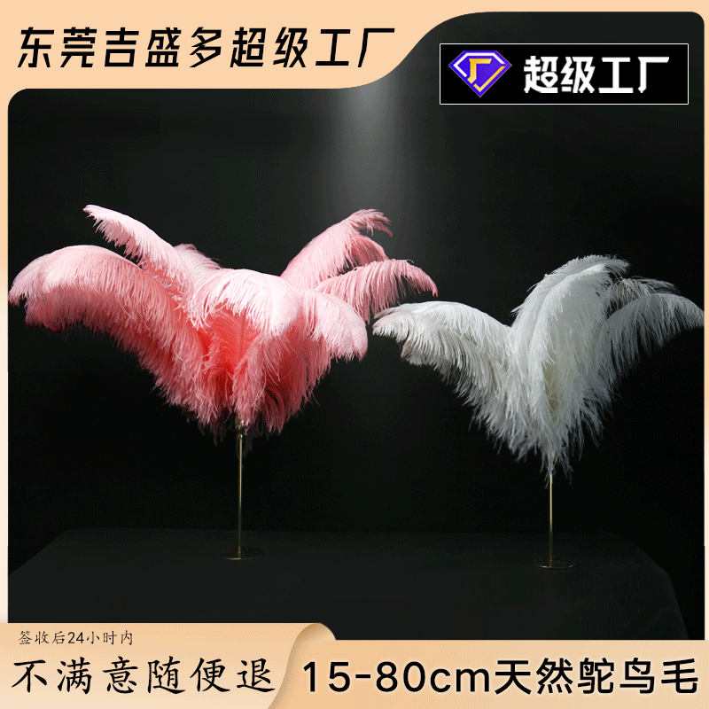 厂家现货15-80cm鸵鸟毛真羽毛发夹台灯花店会展装饰婚礼装饰