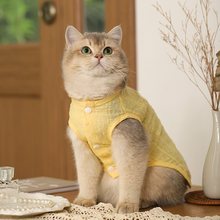 猫咪衣服防掉毛银渐层布偶幼猫小猫宠物猫猫薄款夏季夏天背心