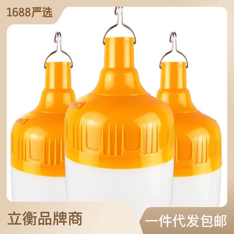 Waterproof DC Charging Bulb Night Market Lamp Stall Light Emergency Light DC Outdoor Led Charging Light Cross-Border